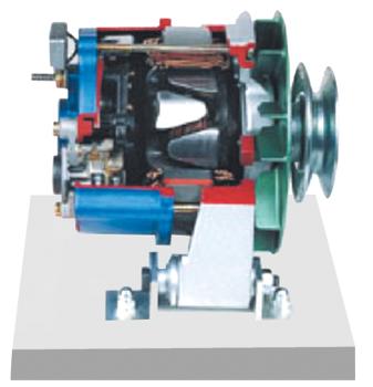 发电机解剖模型